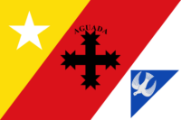 Doesburg flag image preview