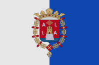 Austin flag image preview