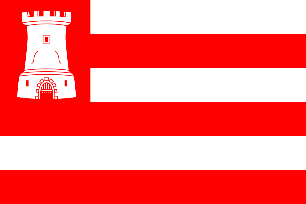 Alkmaar flag image preview