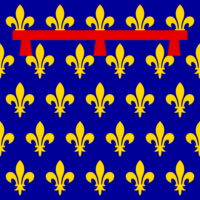 São Paulo flag image preview