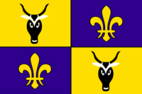 Villena flag image preview