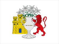 Gasselte flag image preview