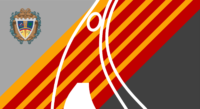 San José del Guaviare flag image preview