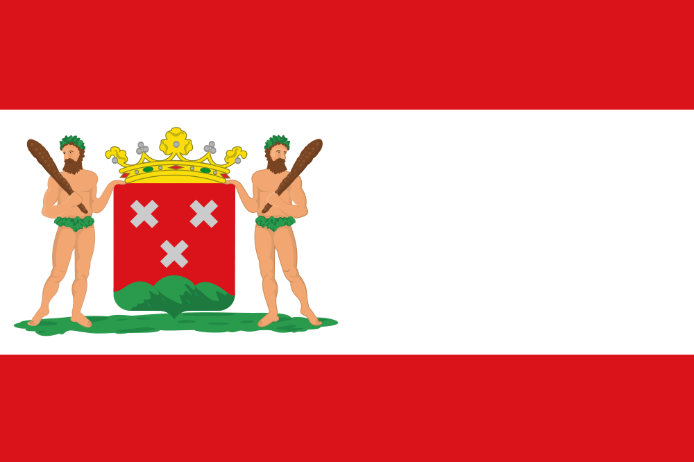 Bergen op Zoom flag image preview