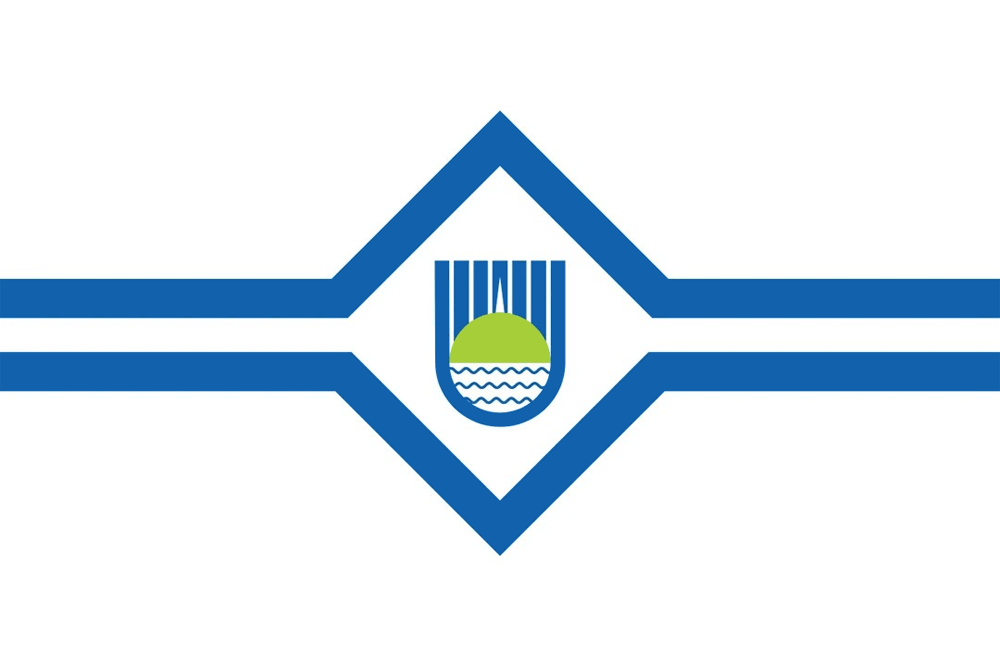 Birobidzhan flag image preview
