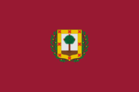 French Guiana flag image preview