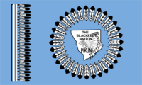 Seminole Tribe flag image preview