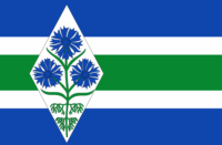 Tierra del Fuego flag image preview