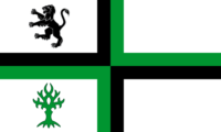 Tyne and Wear flag image preview