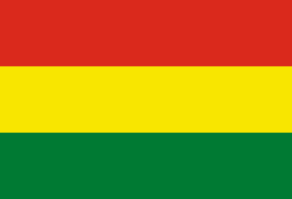 Bolivia flag image preview
