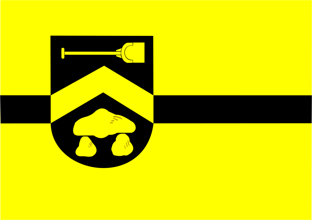 Borger-Odoorn flag image preview