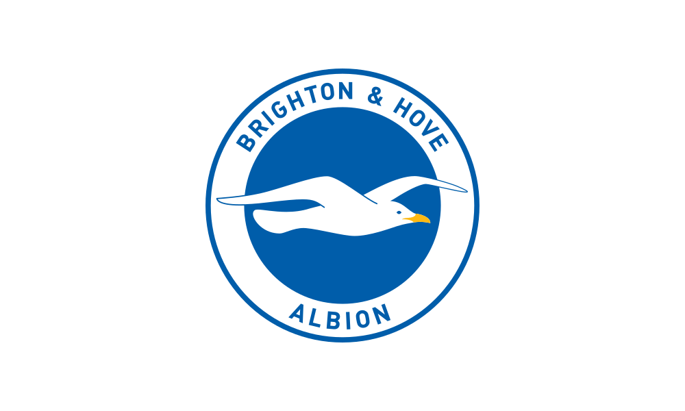 Brighton & Hove Albion F.C. flag image preview
