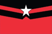 Nuevo Rico flag image preview