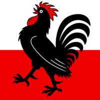 Nelson flag image preview