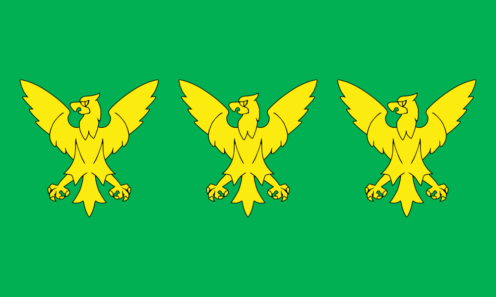 Caernarfonshire flag image preview