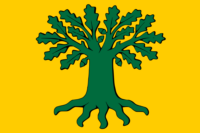 Countryside flag image preview