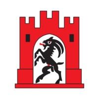 Tyumen Oblast flag image preview