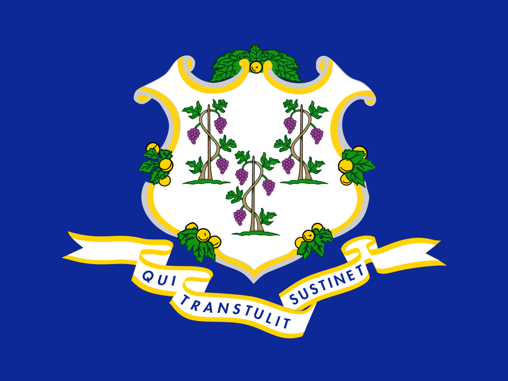 Connecticut flag image preview