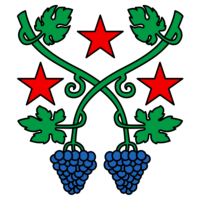 Falcón flag image preview