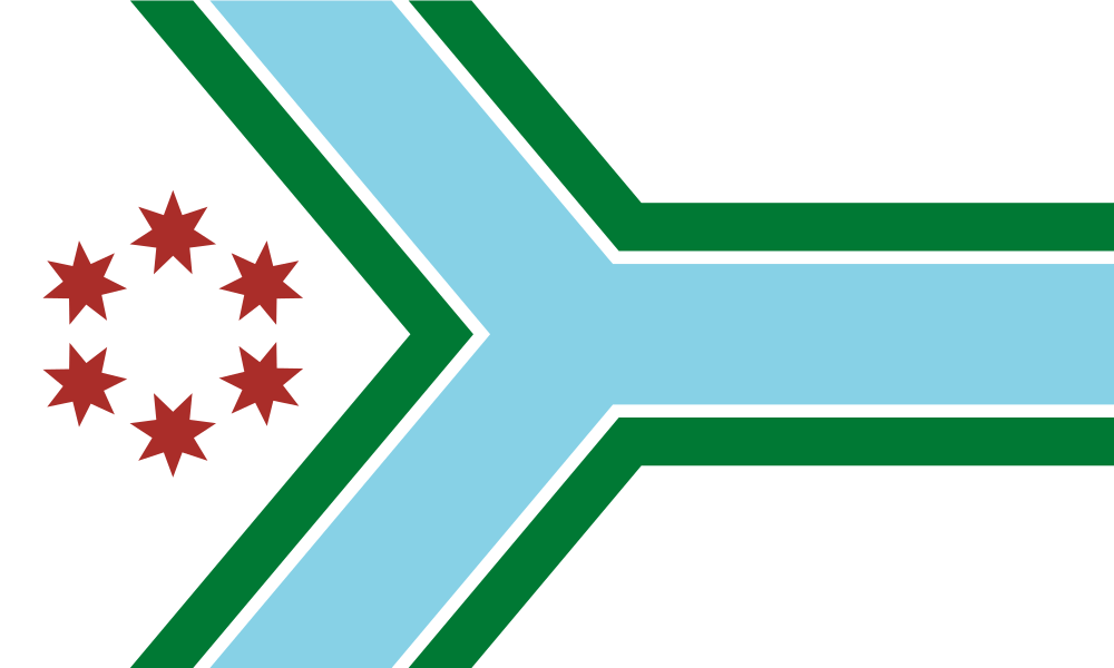 Cook County flag image preview
