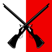 Kosovo flag image preview