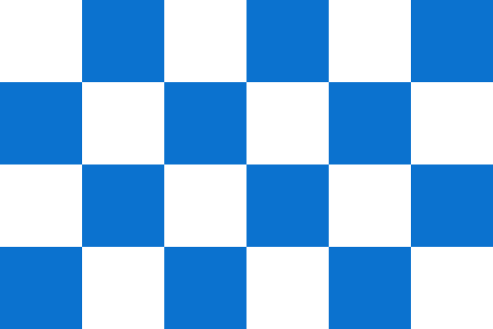 Dalfsen flag image preview