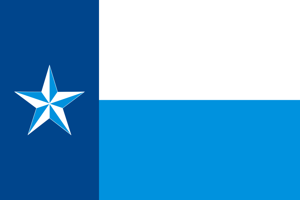 Dallas County flag image preview
