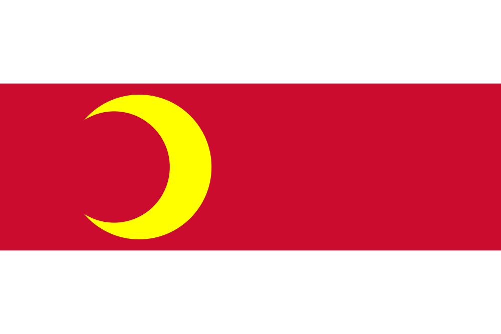Doesburg flag image preview