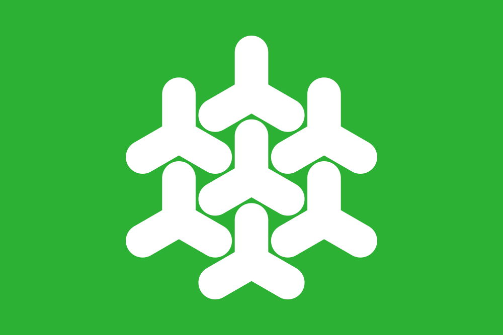 Dronten flag image preview