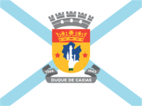 Dundee flag image preview