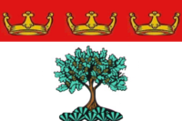 East Riding of Yorkshire flag image preview