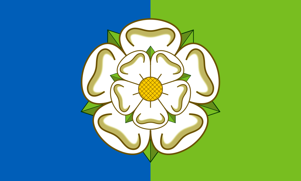 East Riding of Yorkshire flag image preview