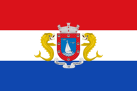 Tamaulipas flag image preview