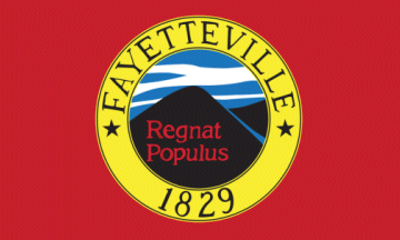Fayetteville flag image preview