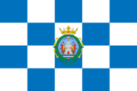 Austin flag image preview