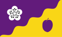 Huila flag image preview