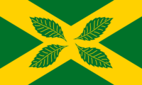 Leicestershire flag image preview