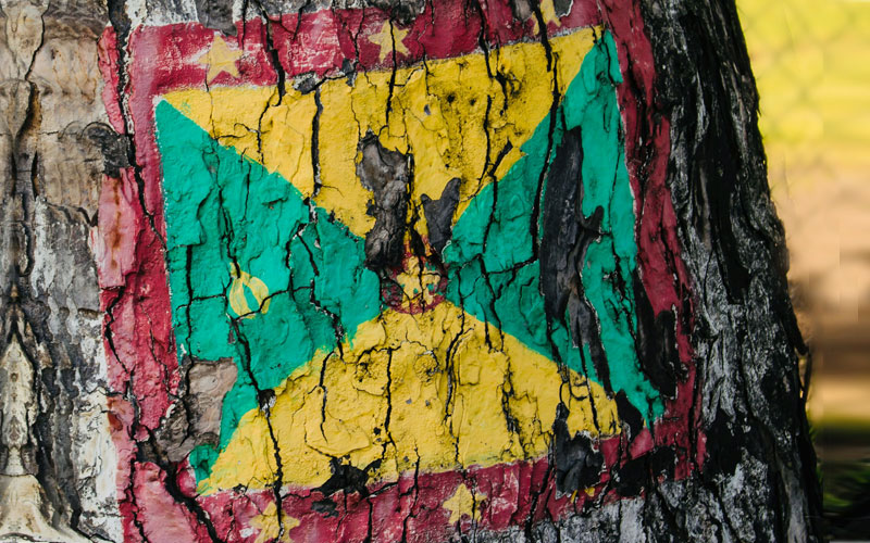 Red, yellow and green Grenada flag painted on the bark of the tree