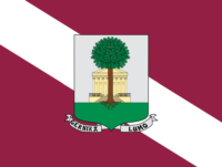 Trentino-Alto Adige flag image preview