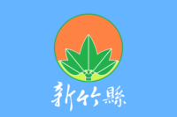 Birobidzhan flag image preview