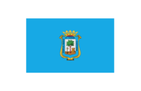 Asunción flag image preview