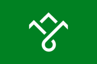 Nelson flag image preview