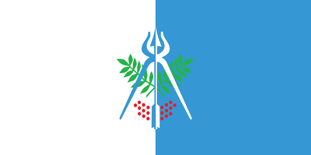 Izhevsk flag image preview