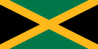 South Africa flag image preview