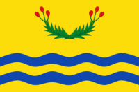 Naranjito flag image preview