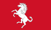 Wiltshire flag image preview