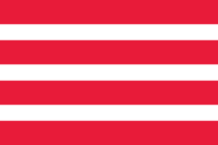 Raleigh flag image preview