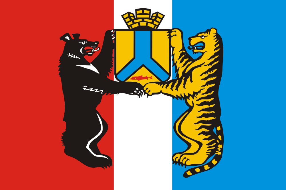 Khabarovsk flag image preview
