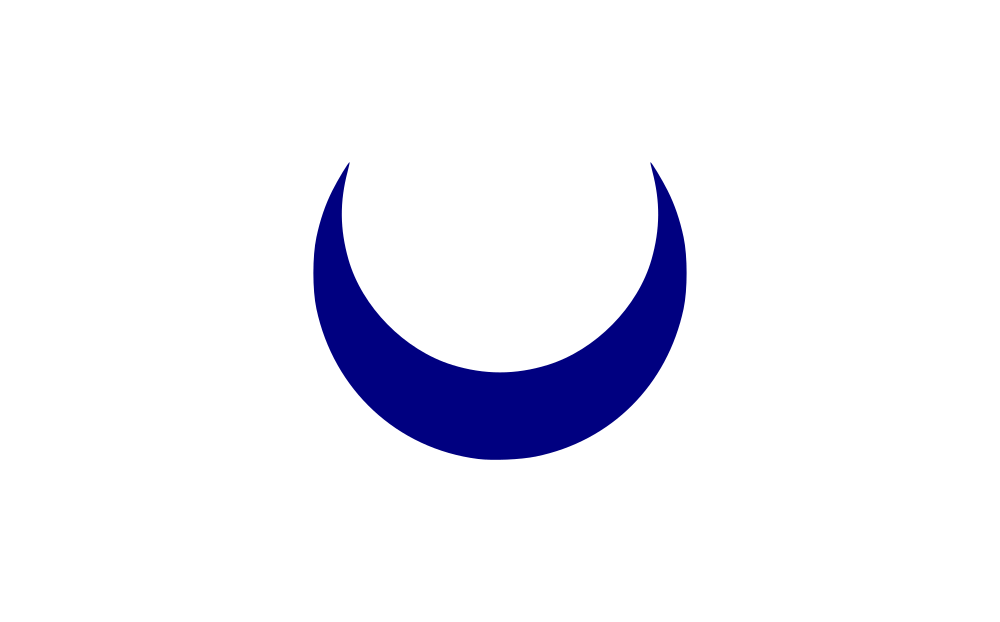 Kingdom of Tlemcen flag image preview