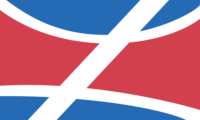 Torreón flag image preview